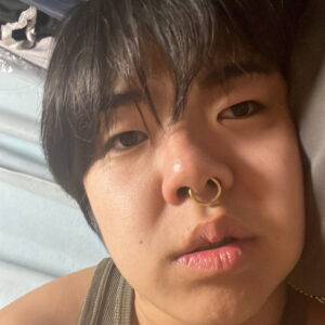 愉快な101匹ブタちゃん